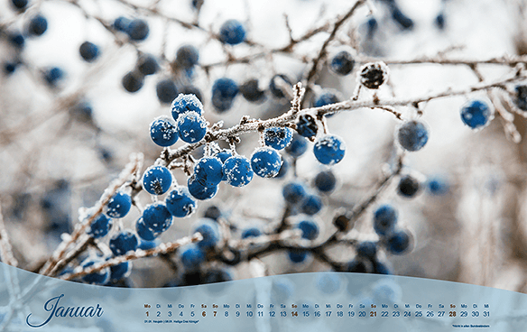 Kalendermotiv Januar