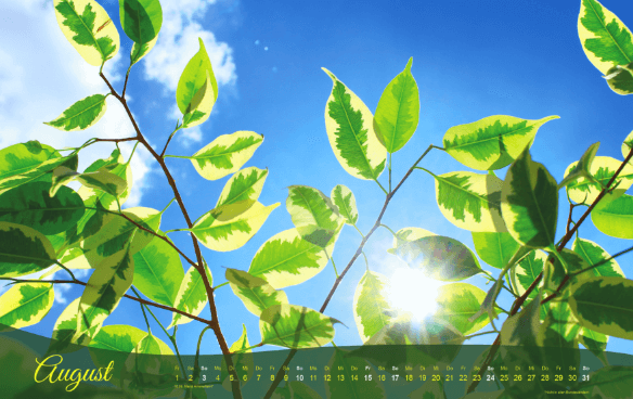 Kalendermotiv August
