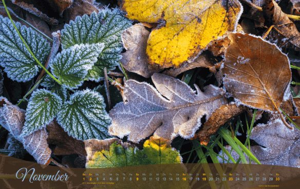 Kalendermotiv November
